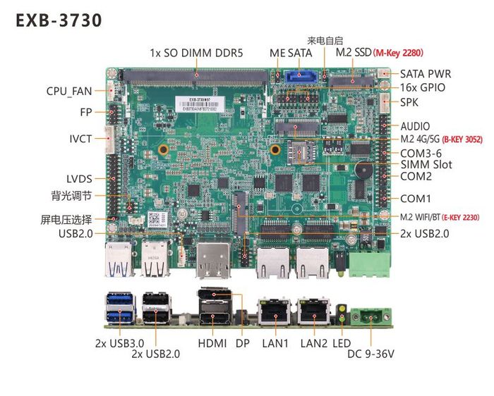 EXB-3730.jpg